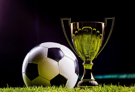 的市场价值 的市场价值